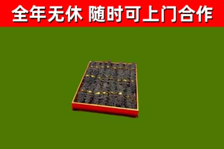 松原回收海参
